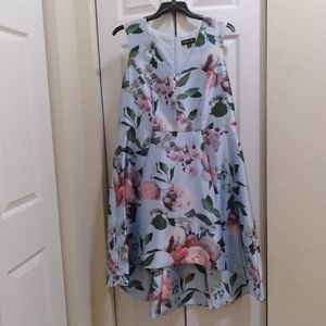 Dress - Size 14W - NWT